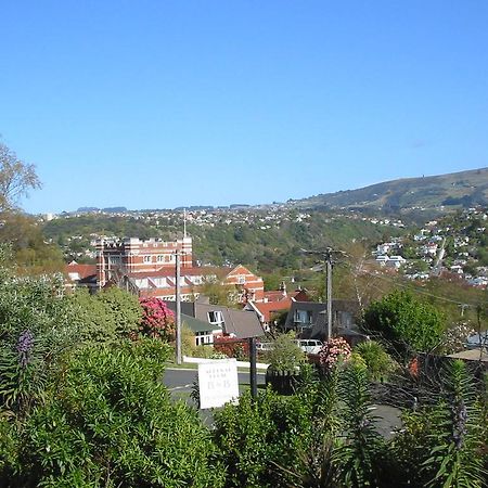 Arden Street House Bed and Breakfast Dunedin Exteriör bild