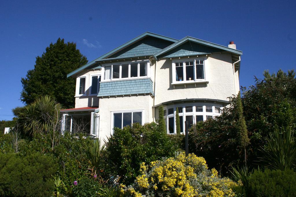 Arden Street House Bed and Breakfast Dunedin Exteriör bild