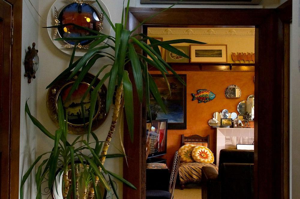 Arden Street House Bed and Breakfast Dunedin Exteriör bild