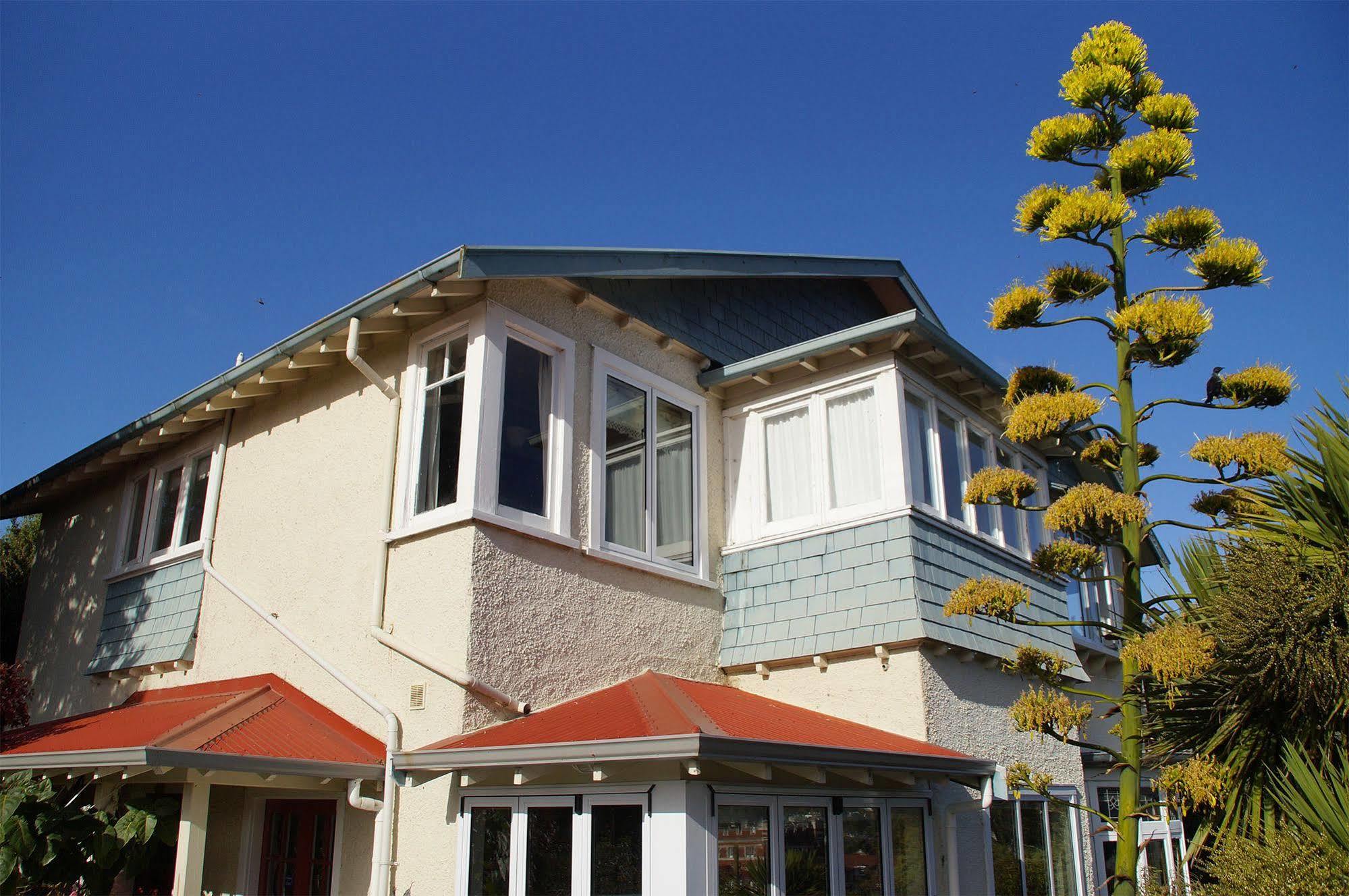 Arden Street House Bed and Breakfast Dunedin Exteriör bild