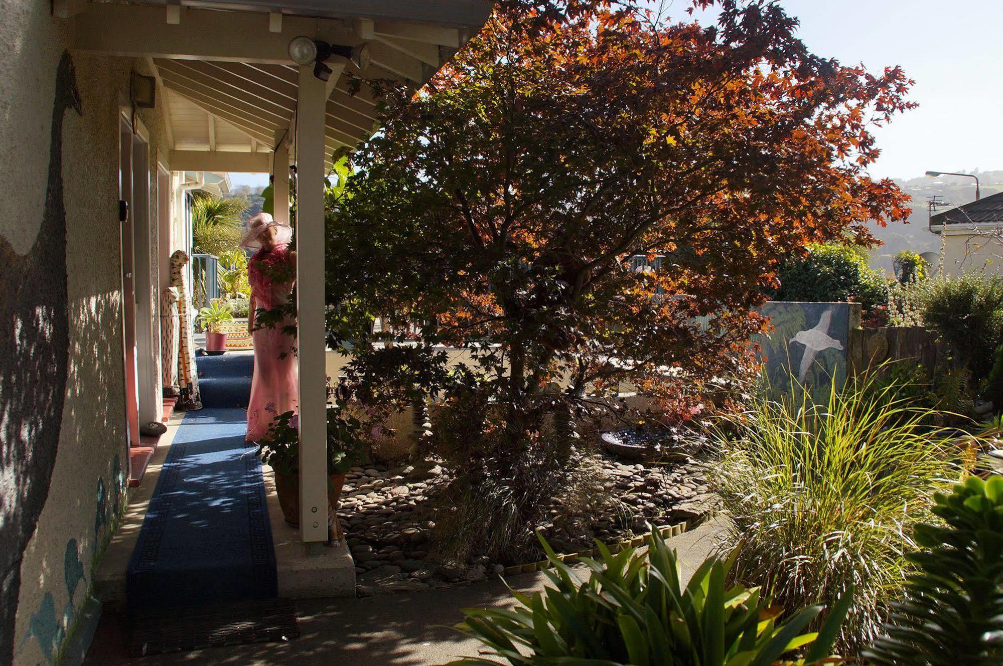 Arden Street House Bed and Breakfast Dunedin Exteriör bild